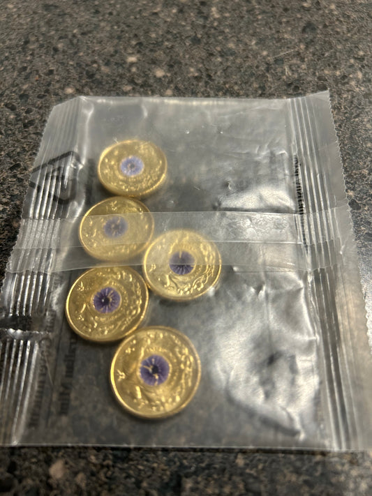 RAM 5 coin bag of Purple Poppy’s